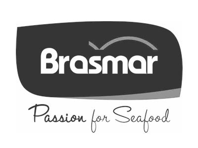 tild3933-3266-4536-a634-663963303932__partners-brasmar